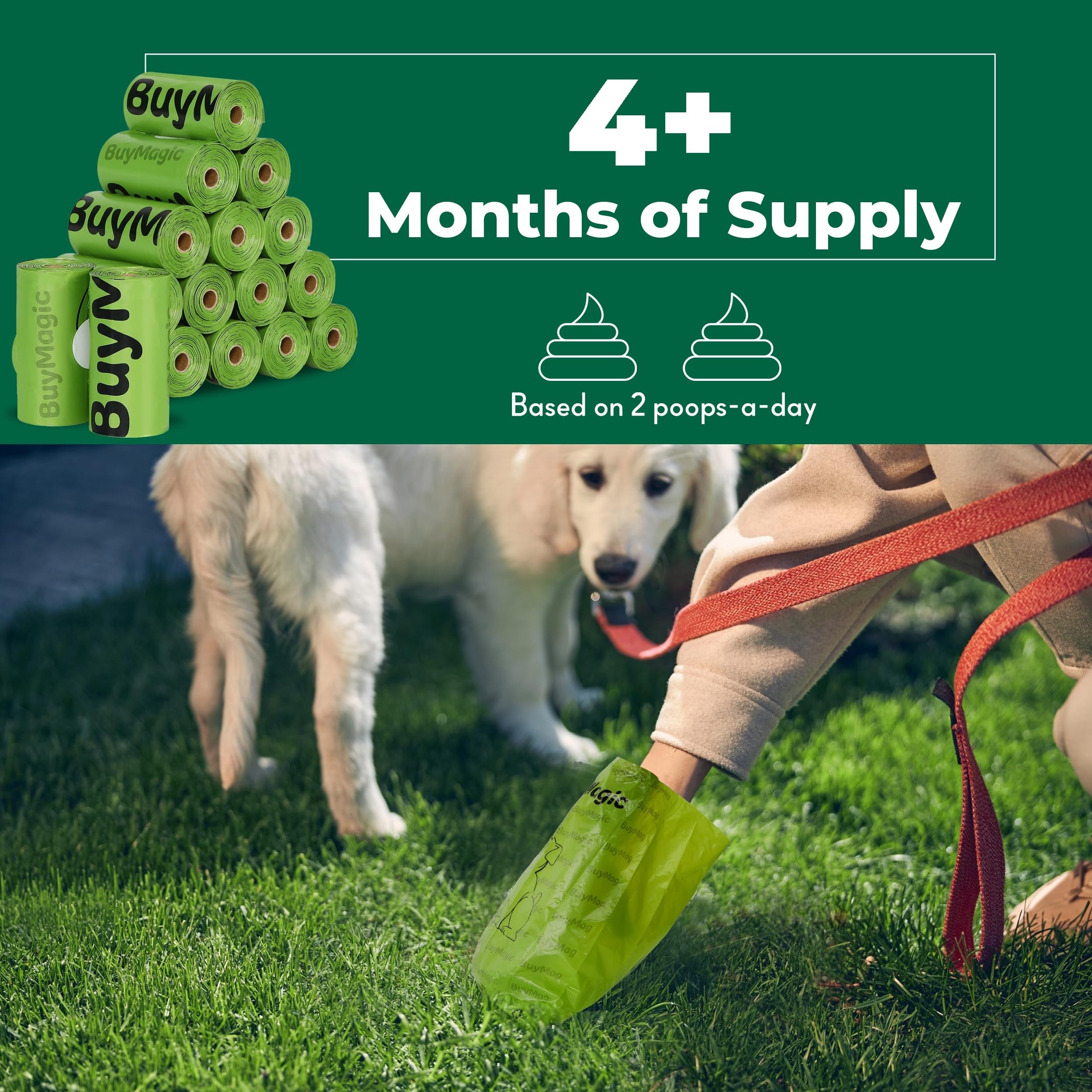 View 6