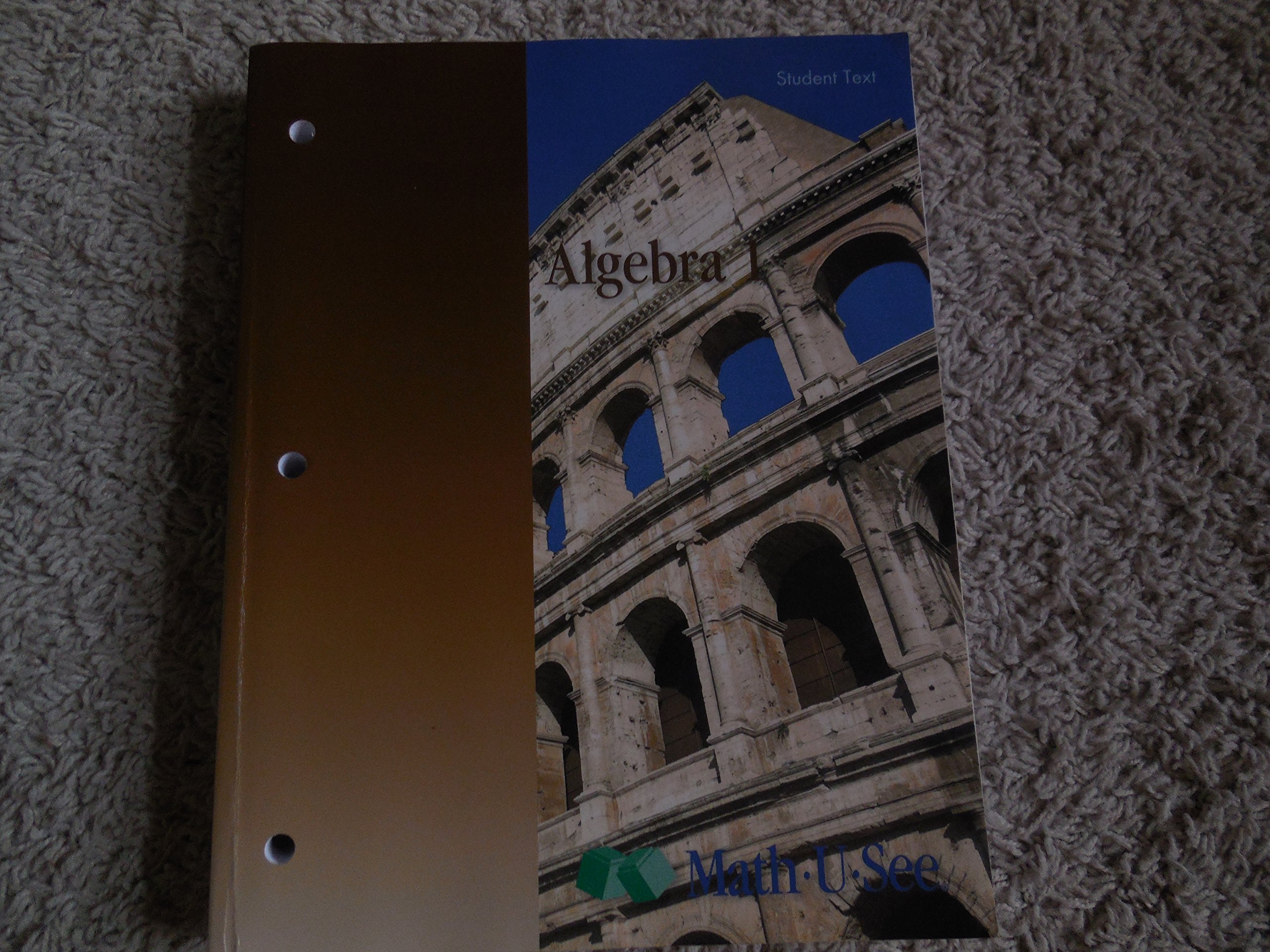 Algebra 1 Student Text by Steven P. Demme (2009-12-24)