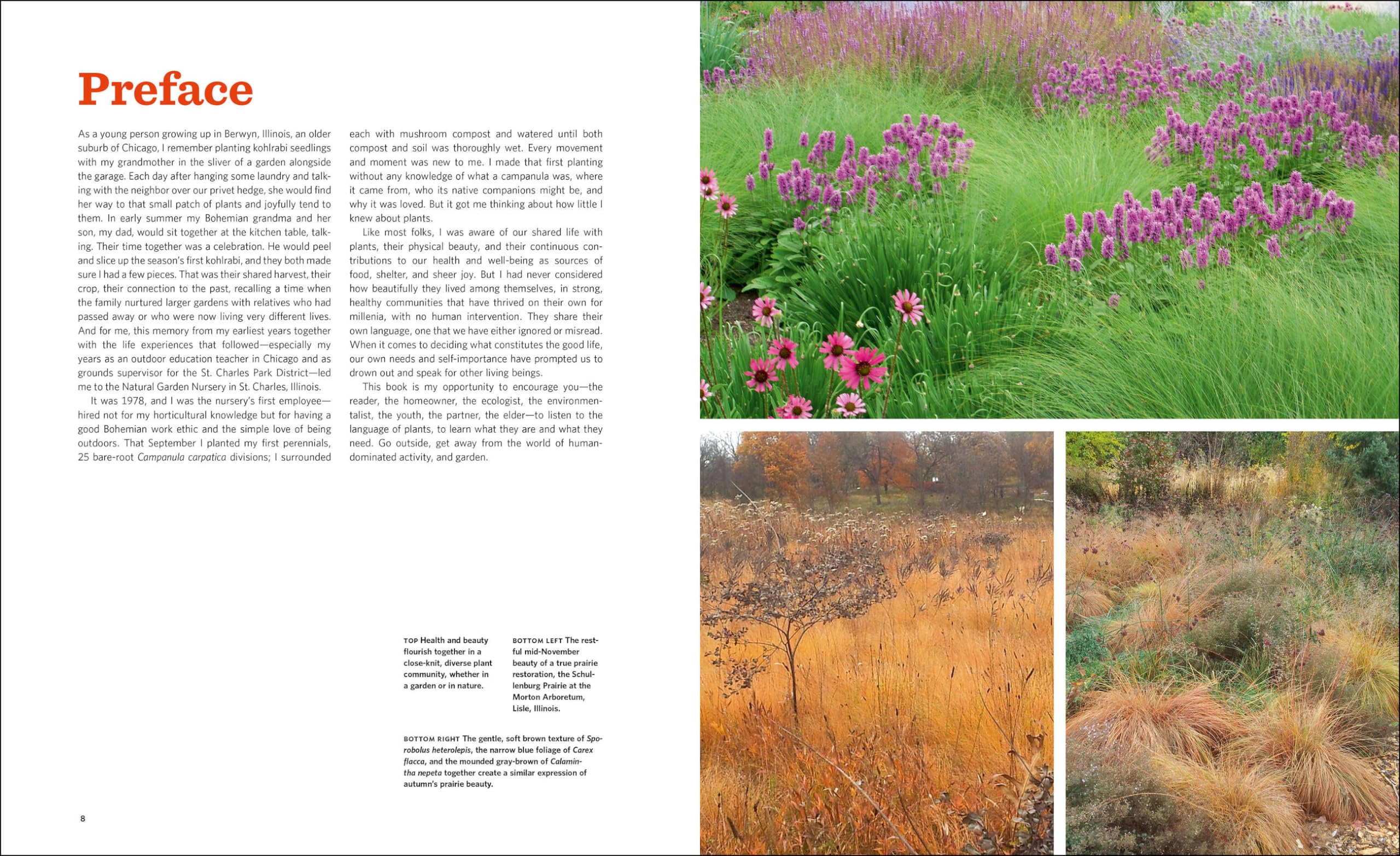 The Know Maintenance Perennial Garden