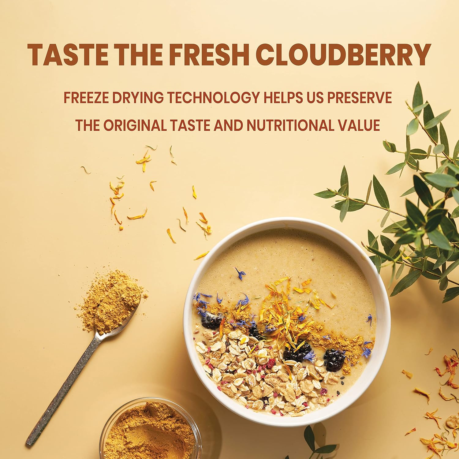 Jungle Powders Wild Cloudberry Powder for Smoothies Baking Jam 3.5 Ounce Bag Pure Nordic Freeze Dried Cloudberry Extract No Sugar Added, No Additives or Fillers Knotberry Powder for Flavoring