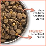 Nutrience Care Sensitive Skin & Stomach Dog Food, Salmon, 10 kg (22 lb)