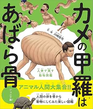 ポンポン様9【1790】 元宝持ち猿乗せ龍亀 アラバスター Amazon.co.jp: 超神ビビューン VOL.2 [DVD] : 荒木茂, 打田康比