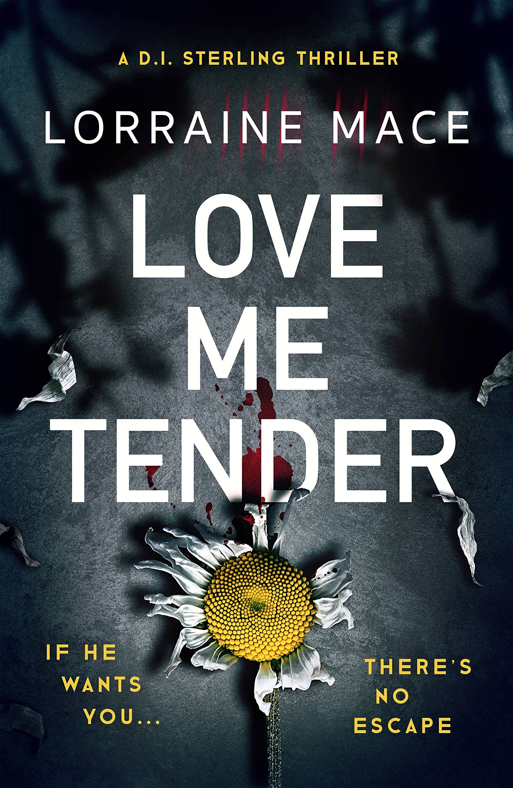 Love Me Tender: An unflinching, twisty and  by Lorraine Mace PAPERBACK