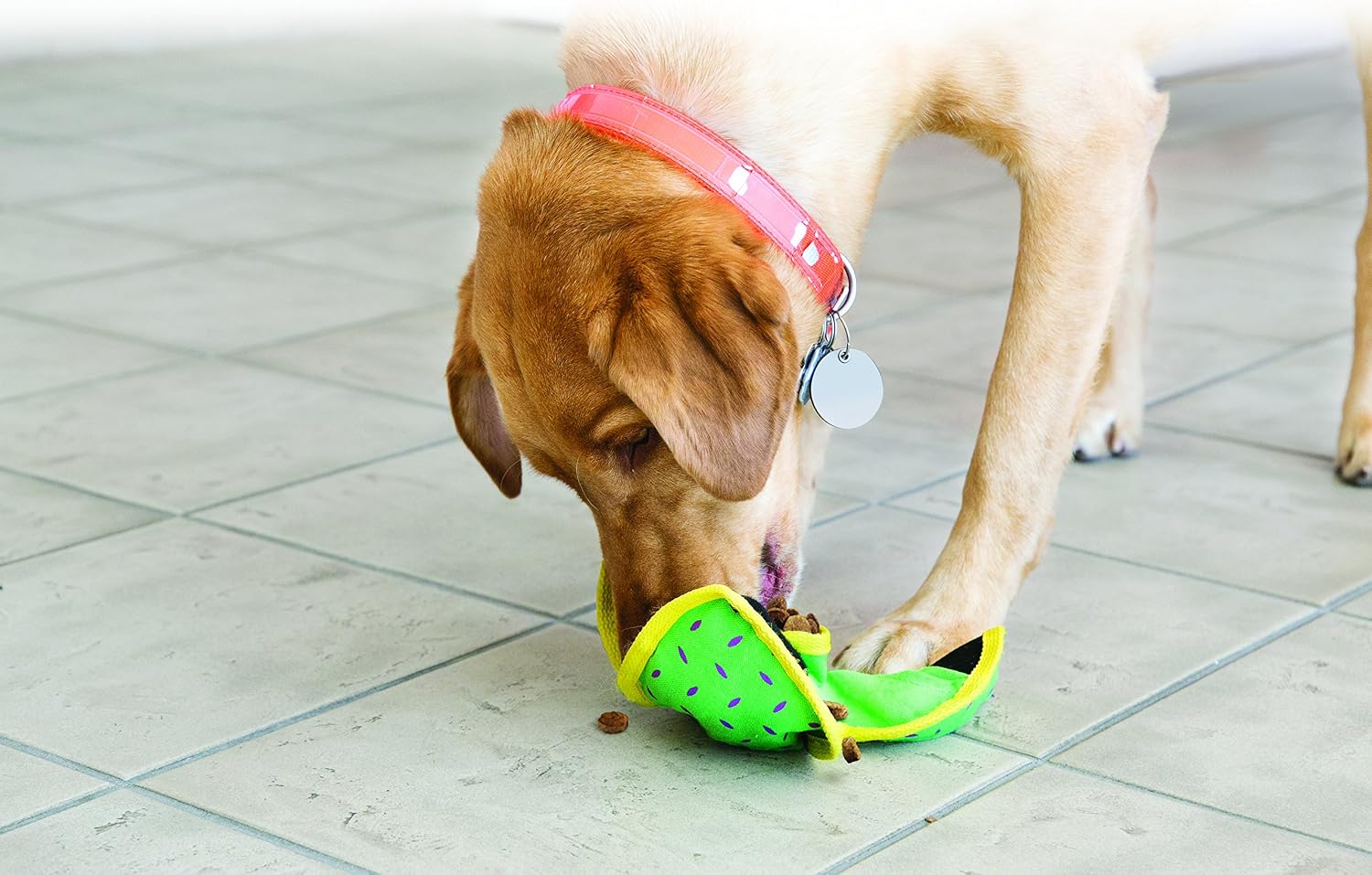 KONG Ballistic Hide 'N Treat Assorted Colors, Large