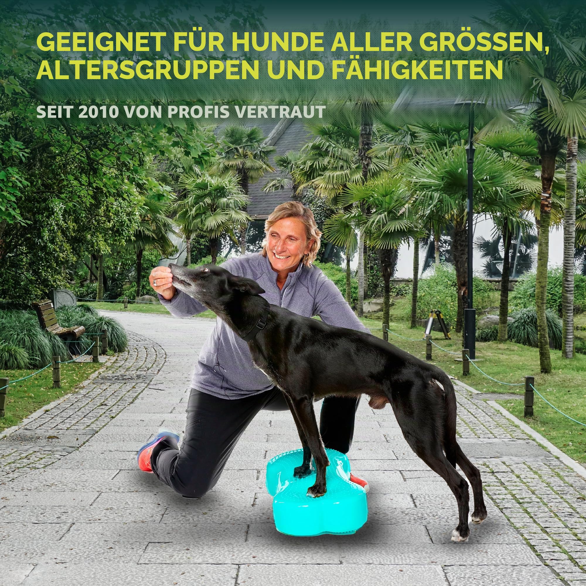 FitPaws k9fitbone Zubehör Erziehung für Hunde, Farbe : sortiert