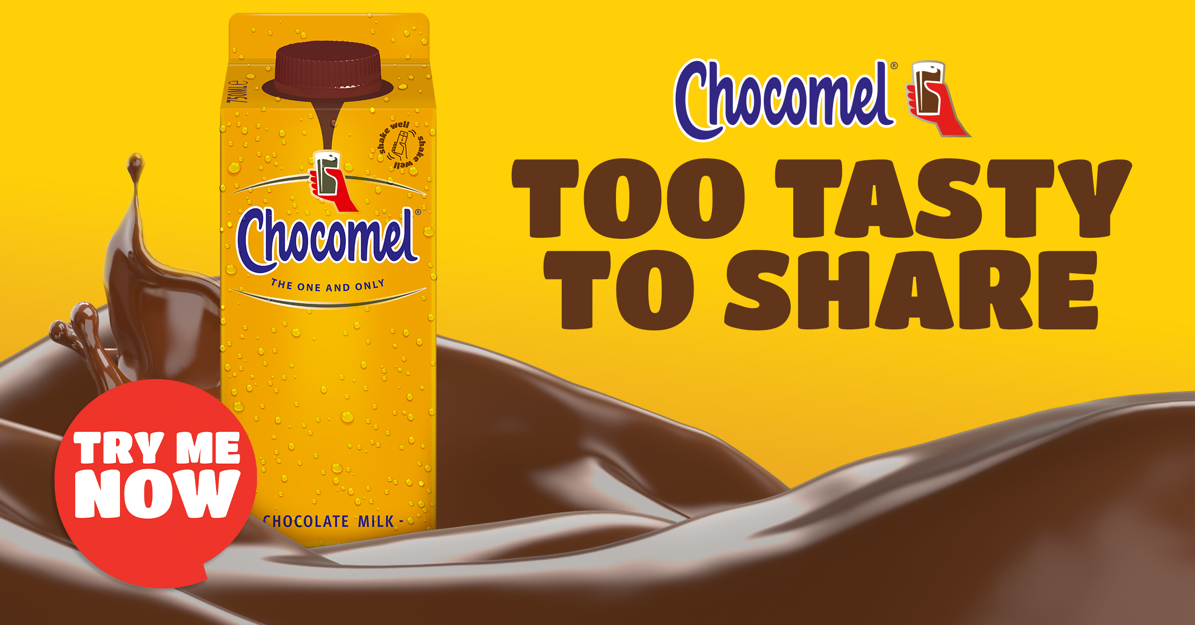 Chocomel Dutch Original Chocolate Milk 750 ml Elopak (Pack of 6