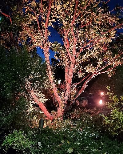 Miniatura 2 de Ironsmith Lighting Products Luces LED inteligentes con base GU5.3 regulables de 5 W – Alexa y Google Assistant, WiFi, Tuya Control ‎6500K 400