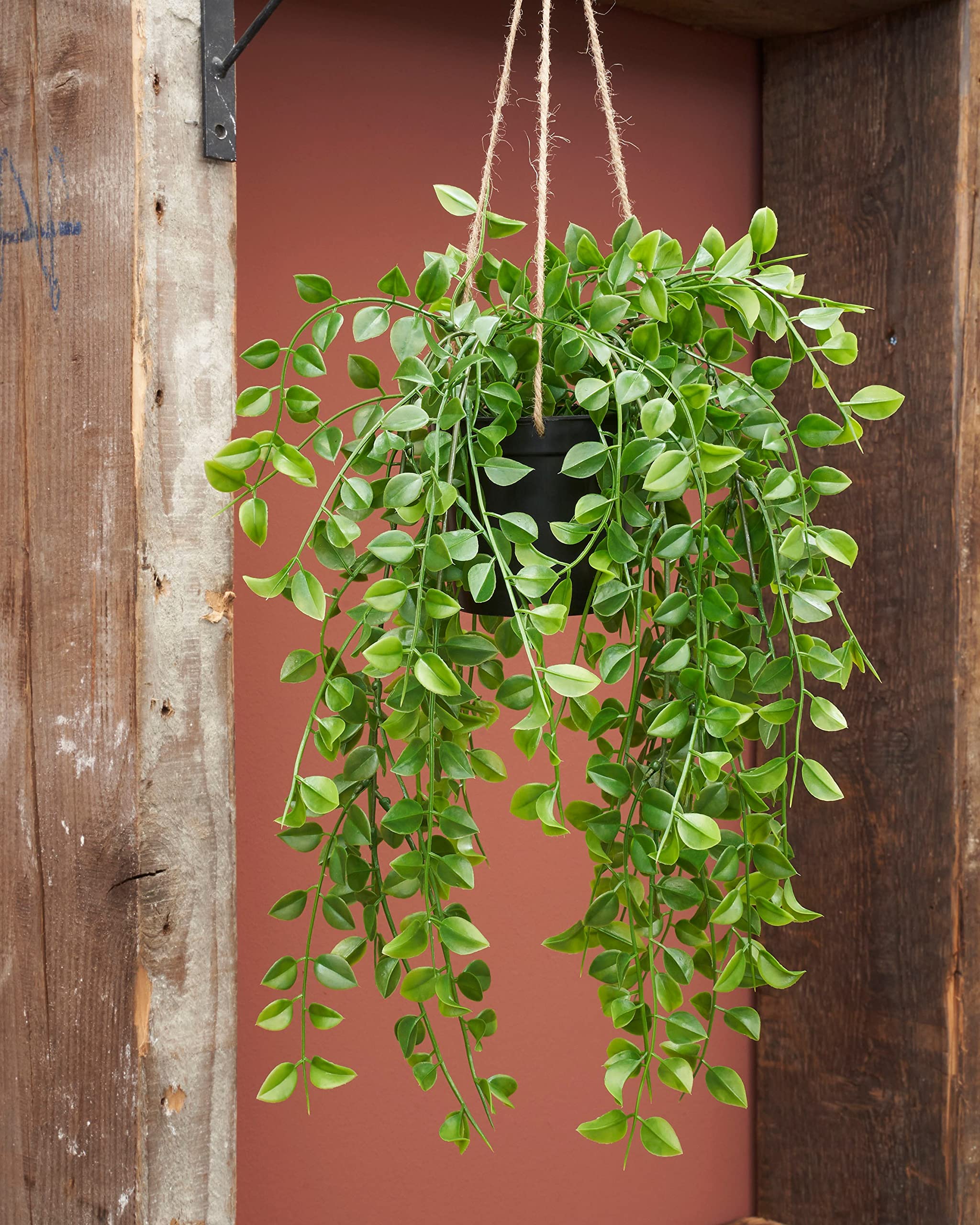 MICA Decorations Pianta Artificiale Ficus Rampicante Appeso – Lunghezza 81 Cm, Foglie Verdi In Plastica, Per Interni