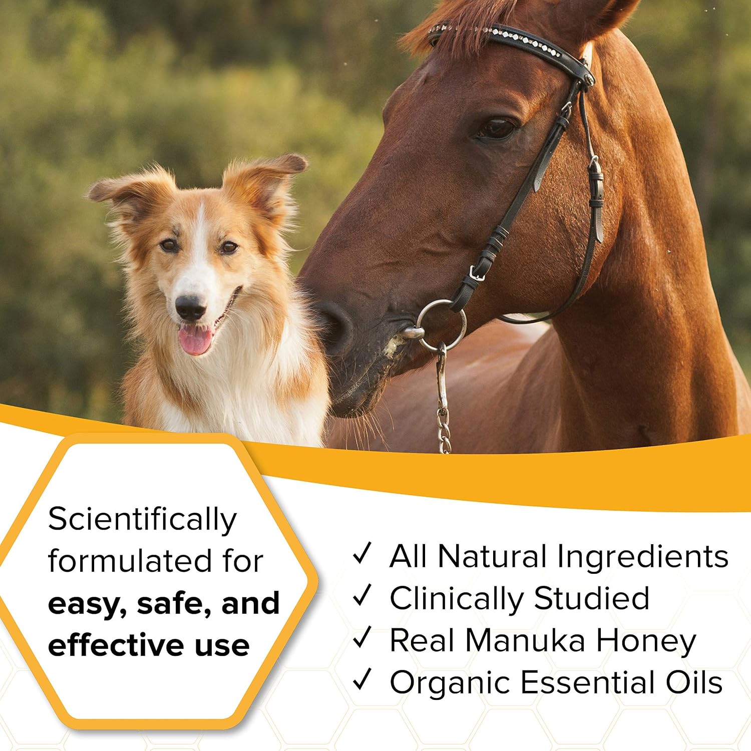 Natural Veterinary Ointment for Wound Care, Manuka Honey, for Dogs, Cats, & Horses, 2 oz. Jar