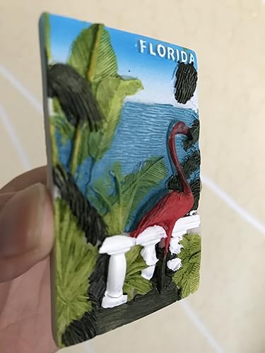 Miniatura 5 de American Crane - Imán de nevera 3D, recuerdos turísticos famosos de Florida, imán de resina de estilo estadounidense, decoración del hogar y la