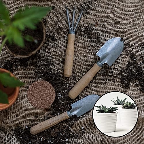 Miniatura 7 de YBB Paquete de 12 discos para macetas de fibra de coco comprimido, disco orgánico de fibra de coco de 2 pulgadas, se expande para adaptarse a