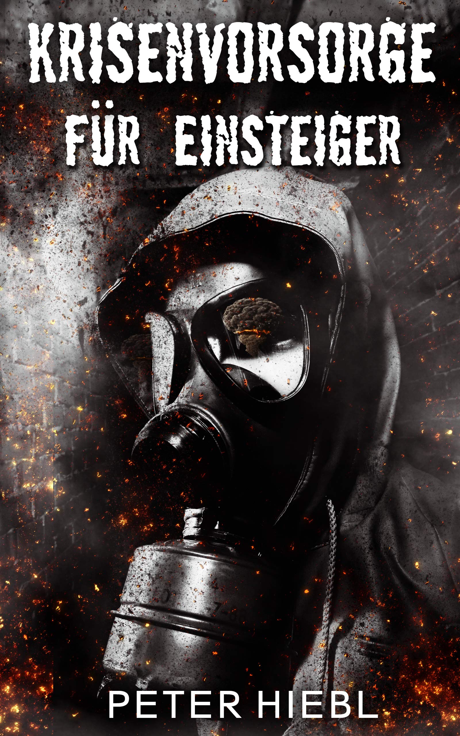 Krisenvorsorge Für Einsteiger: Prepping Für Einsteiger (Prepper Handbuch 2) (German Edition) 
