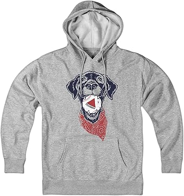 Chowdaheadz Fenway Dog Hoodie Gray