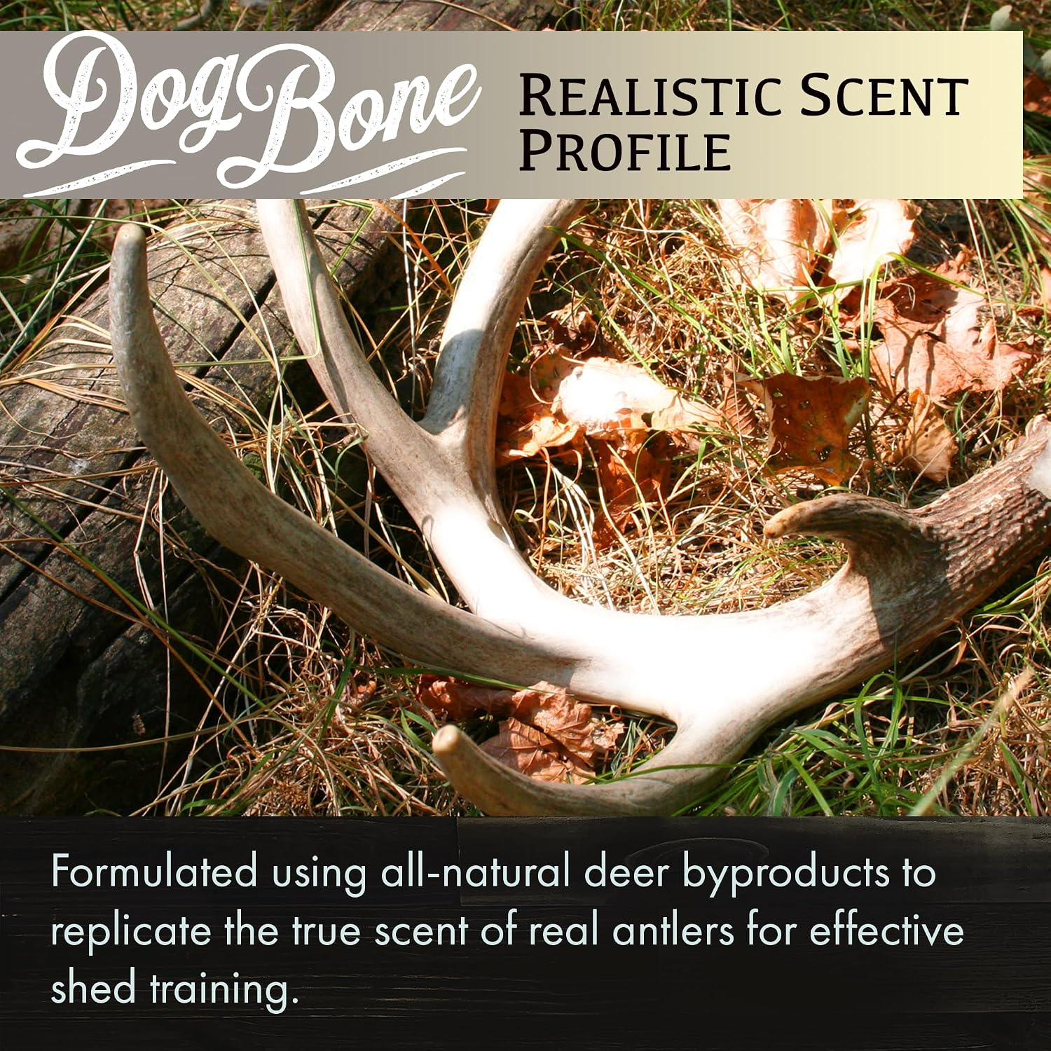 Conquest Scents DogBone Antler Scent Stick, Dog Training Wax, 2.5 oz | Dog Training Scent Wax, Weather Resistant Formula, Saliva Resistant Formula