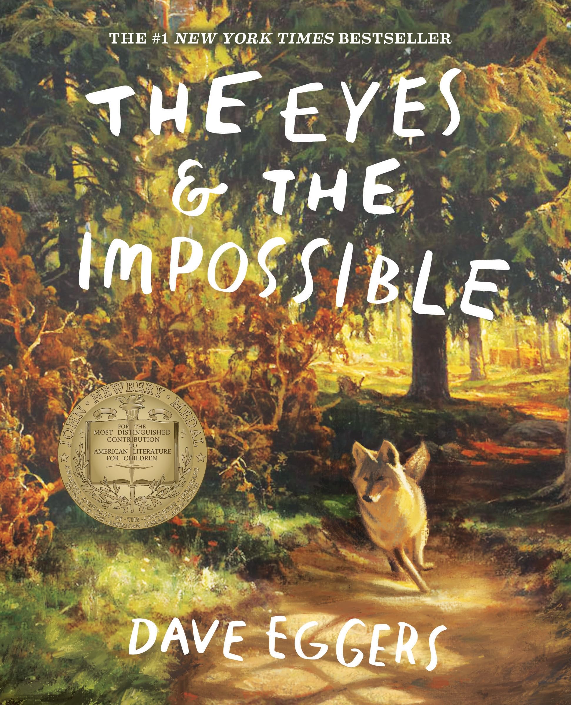 Dave Eggers The Eyes and the Impossible Paperback Fiction Book