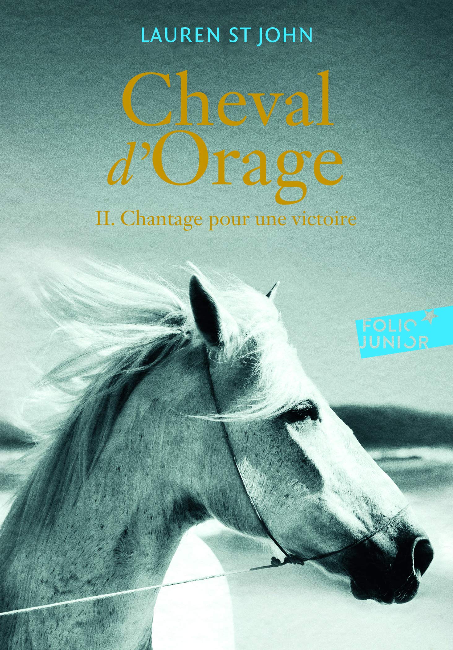 Cheval d'Orage (Tome 2-Chantage pour une victoire) (Folio Junior)