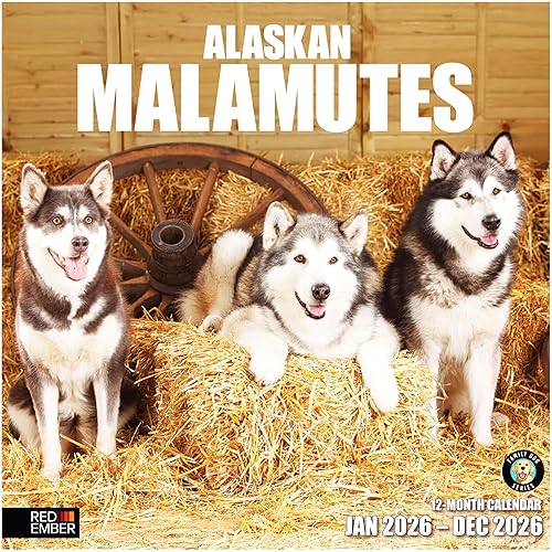 RED EMBER Alaskan Malamutes 2026 Wall Calendar 12 Month |