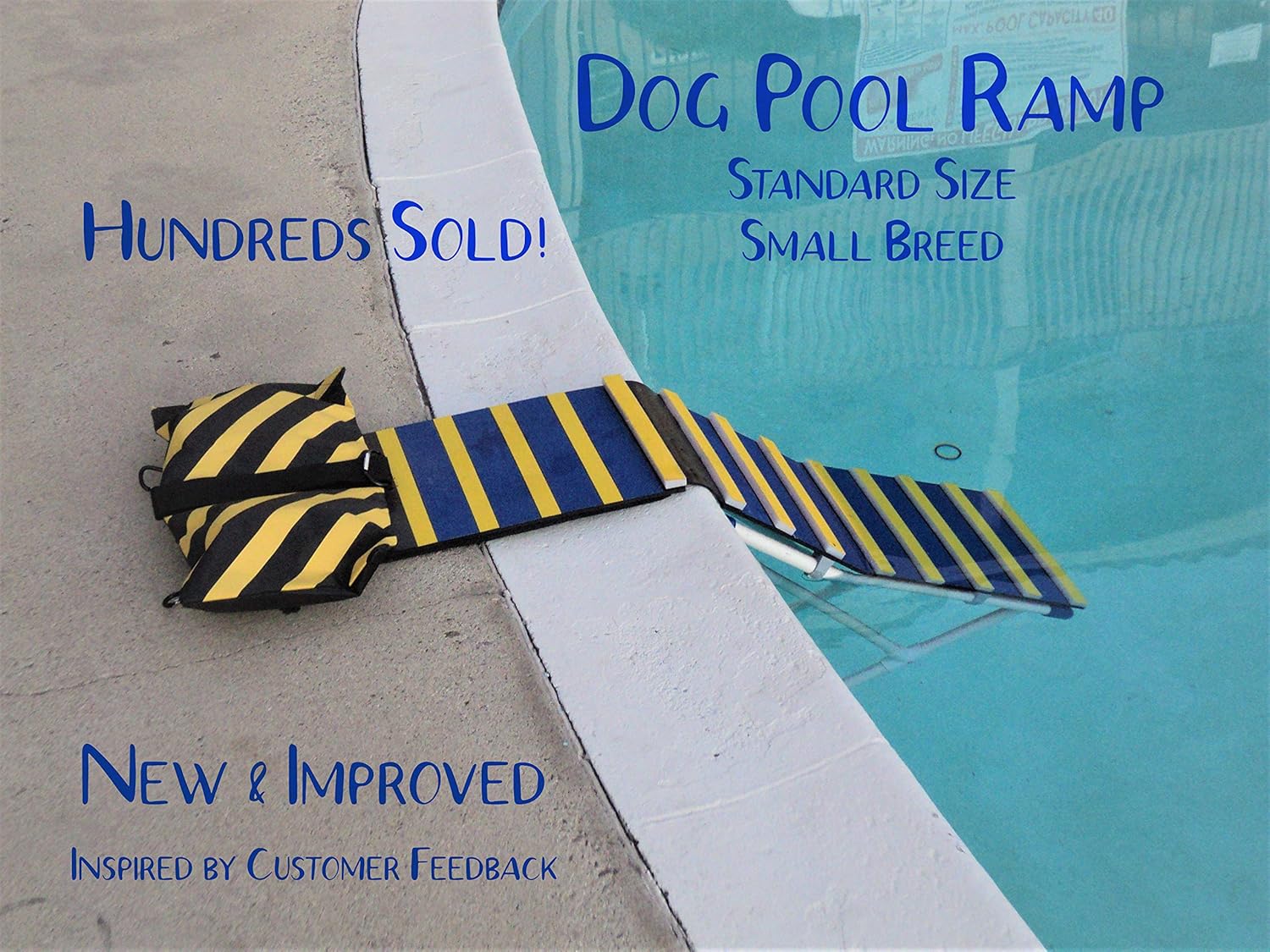 KHTS6310 Dog Pool Exit Ramp Pet Supplies