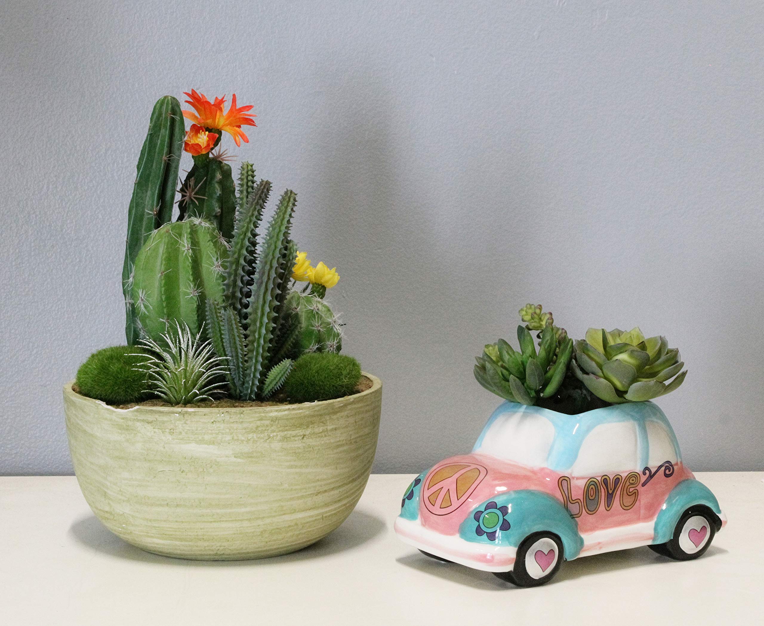 Amazon.com : The Bridge Collection Hippy Vehicle Planter Pot (Love