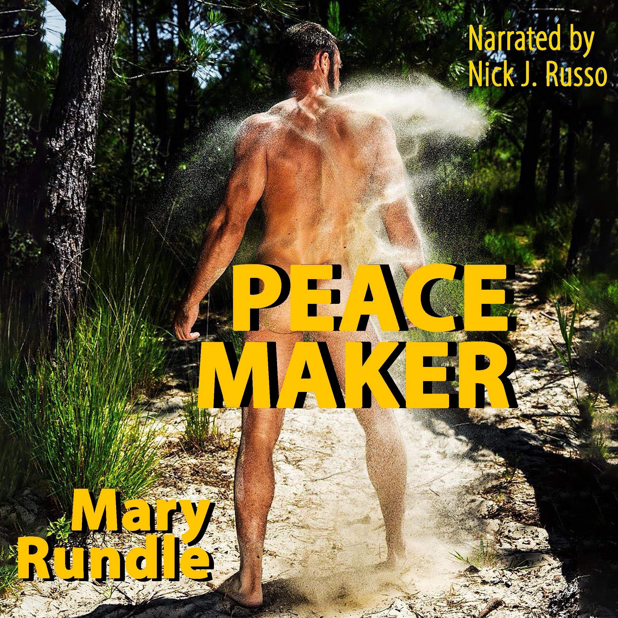 Cover art for Peace Maker