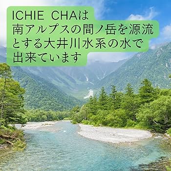 Amazon.co.jp: 高級ペットボトル煎茶 静岡茶 お茶 緑茶飲料 お茶