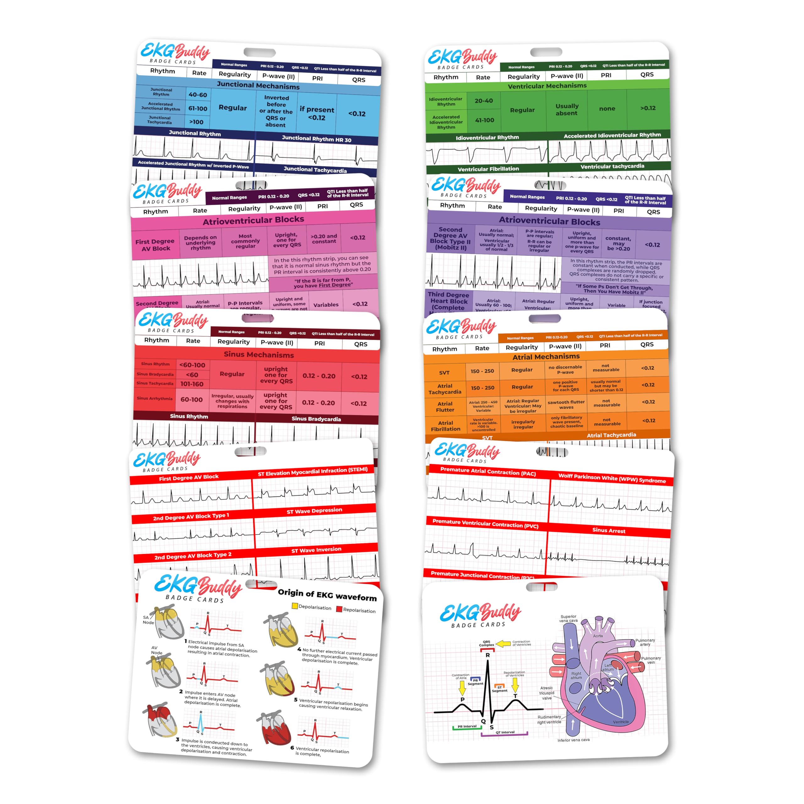 EKG Buddy's 5 Card EKG Interpretation Badge Set - Doubled Sided Nurse ECG Cards Guide Rhythm Cheat Sheet, EKG Telemetry Strips for ACLS Medical Cardiac Reference and Nursing Student Gift Accessories