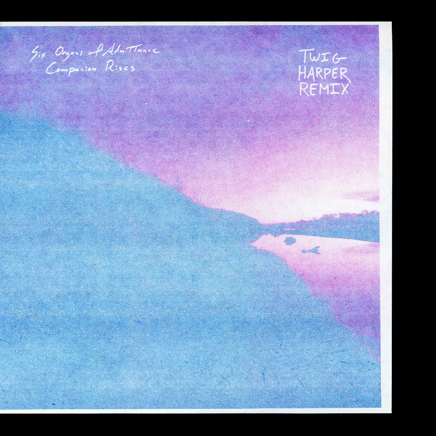 Companion Rises (Twig Harper Remix) [VINYL]