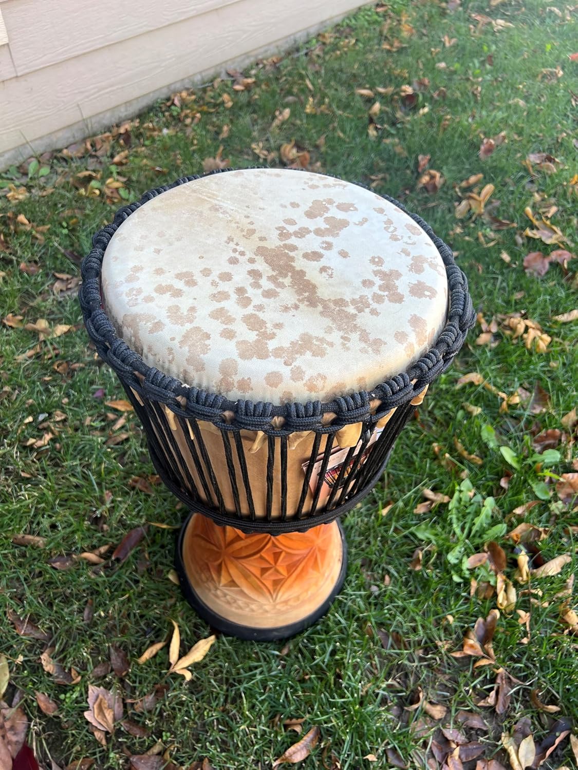 Djembe Master Mali Style 24" - Image 4