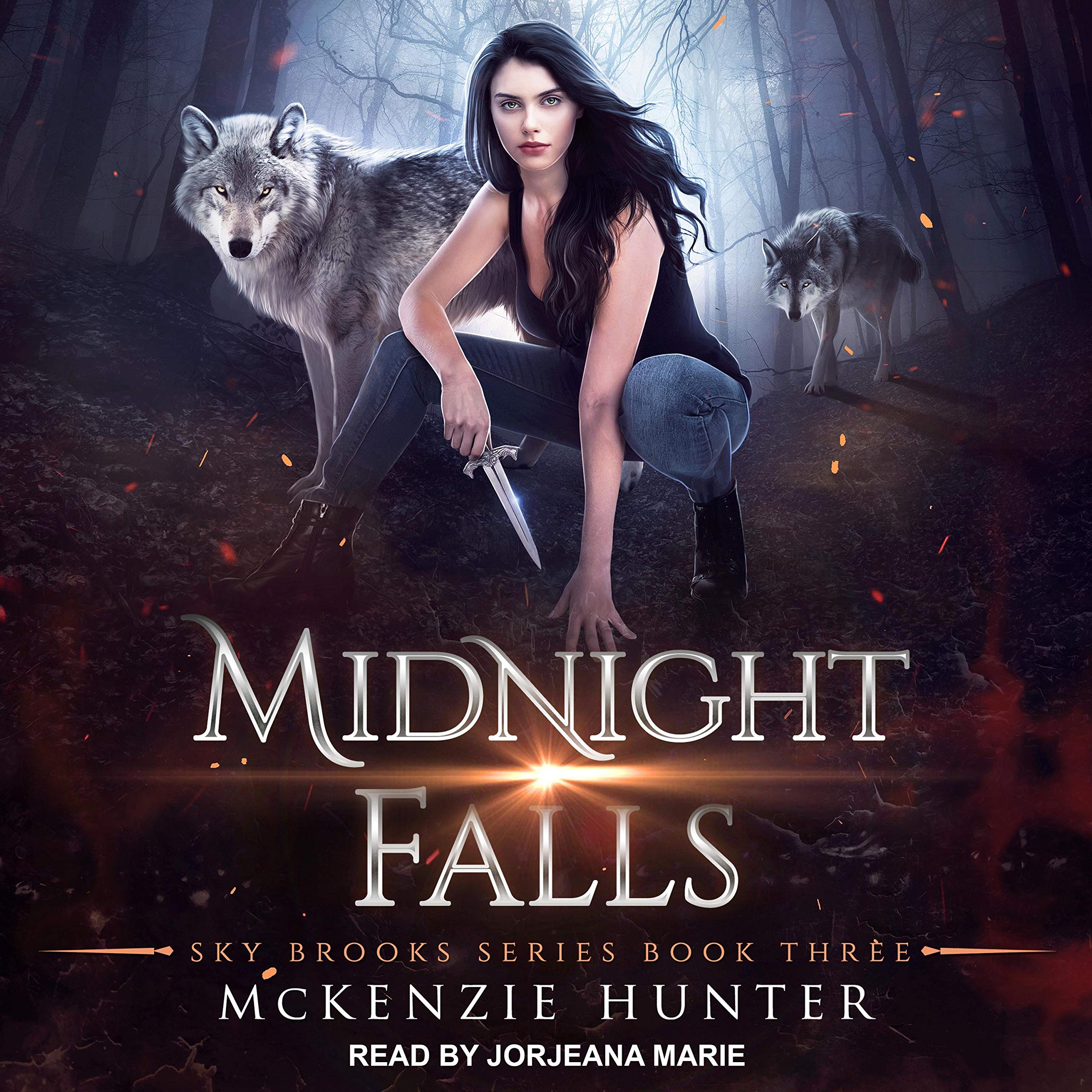 Cover art for Midnight Falls