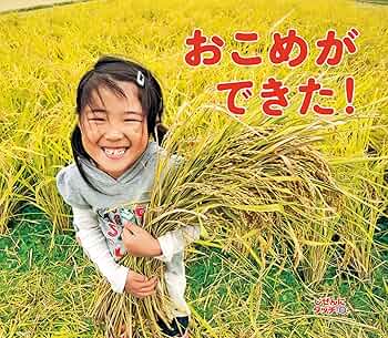 かがくのとも　しぜん　お米と米づくりの絵本　こめ　たんぼにできたわら　福音館 かがくのとも しぜん お米と米づくりの絵本 こめ たんぼに