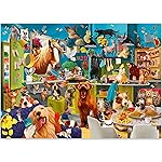 QUOKKA Jigsaw Puzzles 1000 Pieces for Adults - Puzzles for Men and Women - Funny Animals for Kids Ages 8-12 - Animals Party