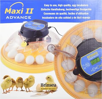 Brinsea Products USAC26C Maxi II Advance Automatic 14 Egg Incubator, One Size, Yellow/Black
