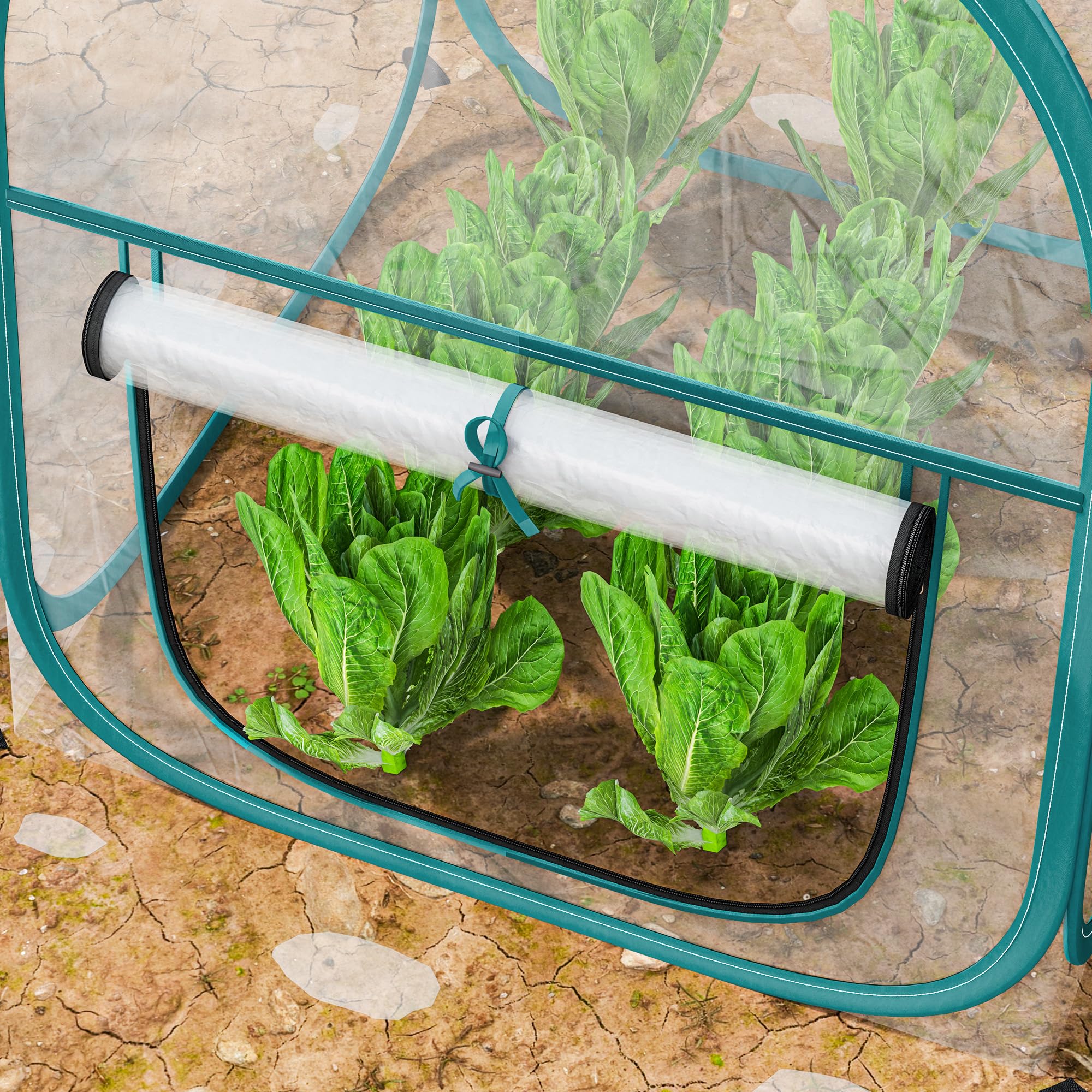 Outsunny Mini Invernadero Plegable Pop-up, Invernadero Exterior Transparente con Puerta Enrollable y Cubierta de Plástico, Contraviento, para Cultivar Plantas, Flores, 70x70x80 cm, Transparente
