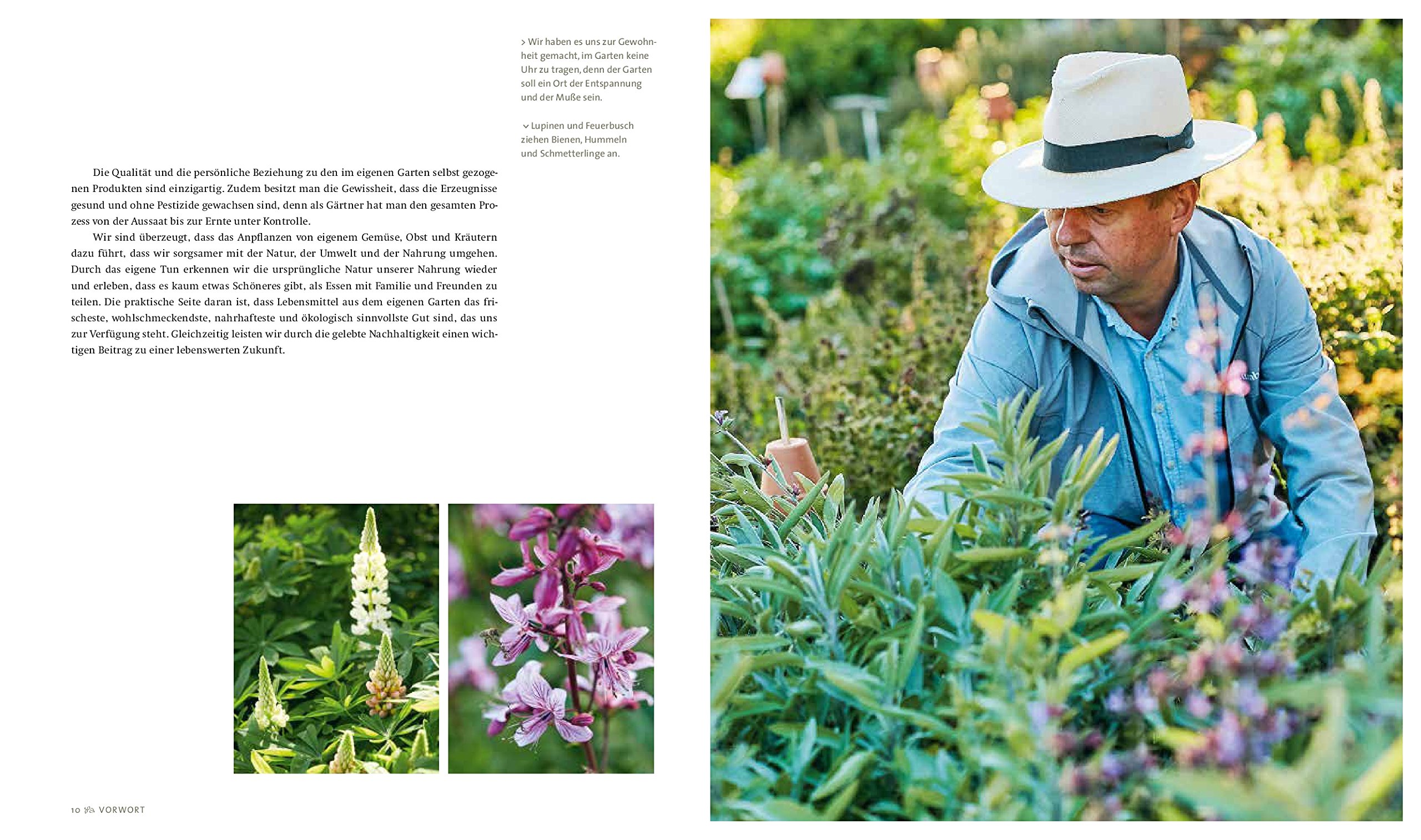 The Lazy Gardener und seine Gartengeheimnisse: Mit weniger Aufwand zur besseren Ernte im Biogarten. Der Ratgeber für mehr Gemüse, Blumen und Kräuter