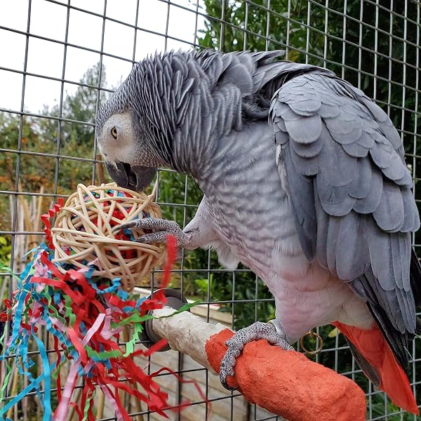 Fiesta Ball Stuffers Parrot Chews - Pack of 3 - 2