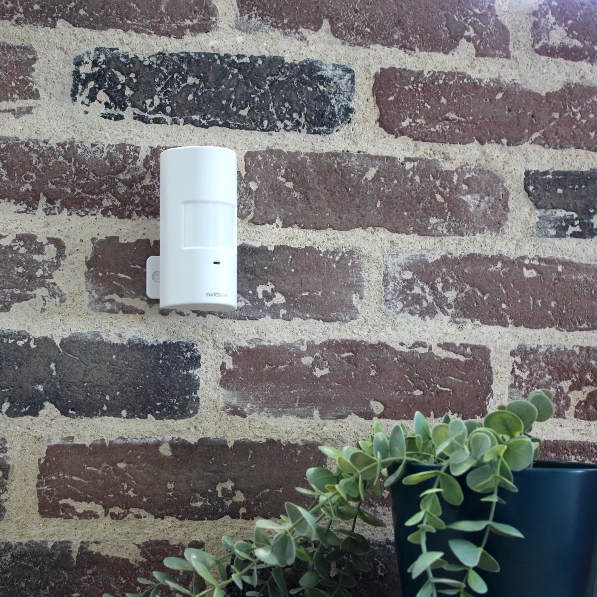 Avidsen Detector de Movimiento Infrarrojo para Alarmas Skyda y HomeSecure