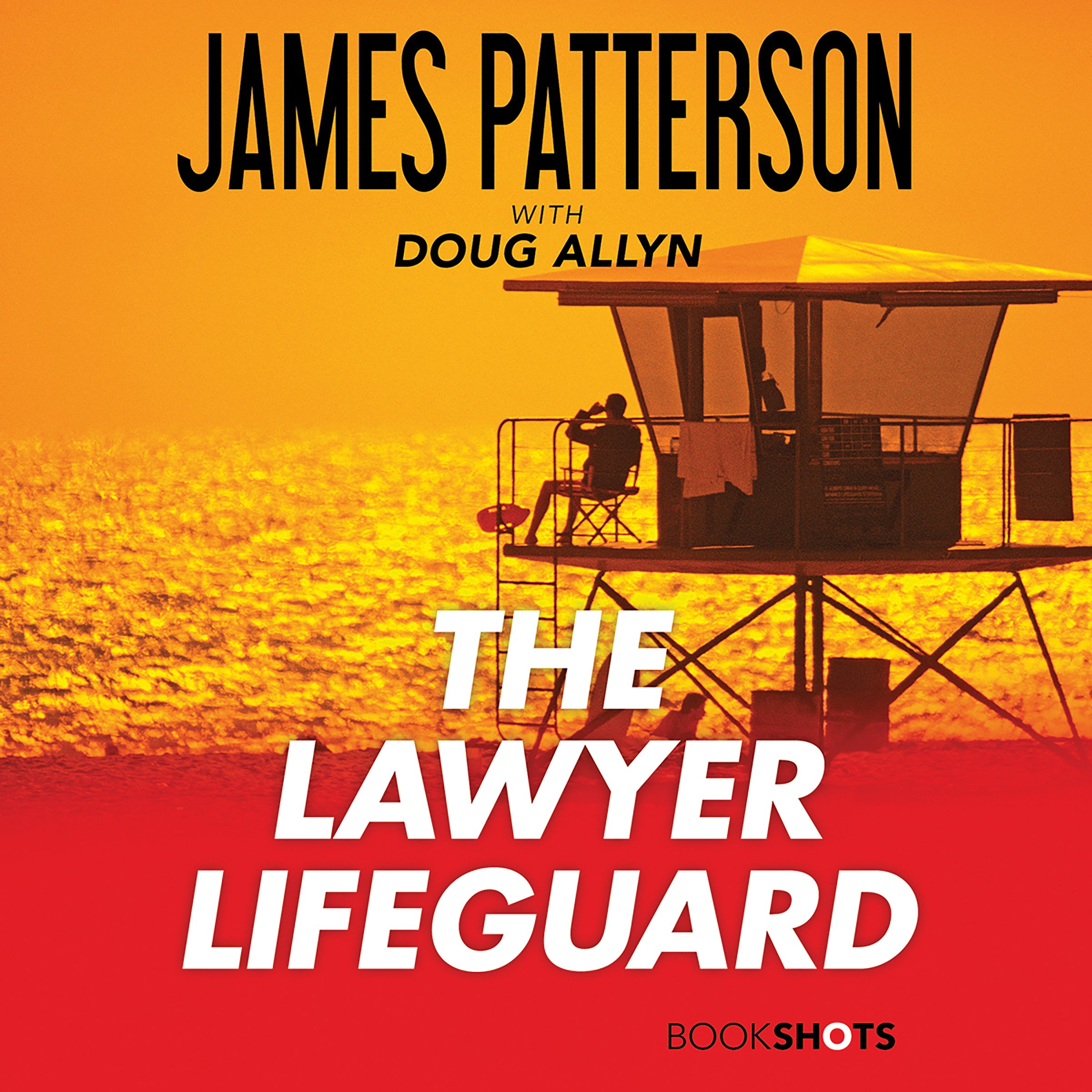 Cover art for The Lawyer Lifeguard