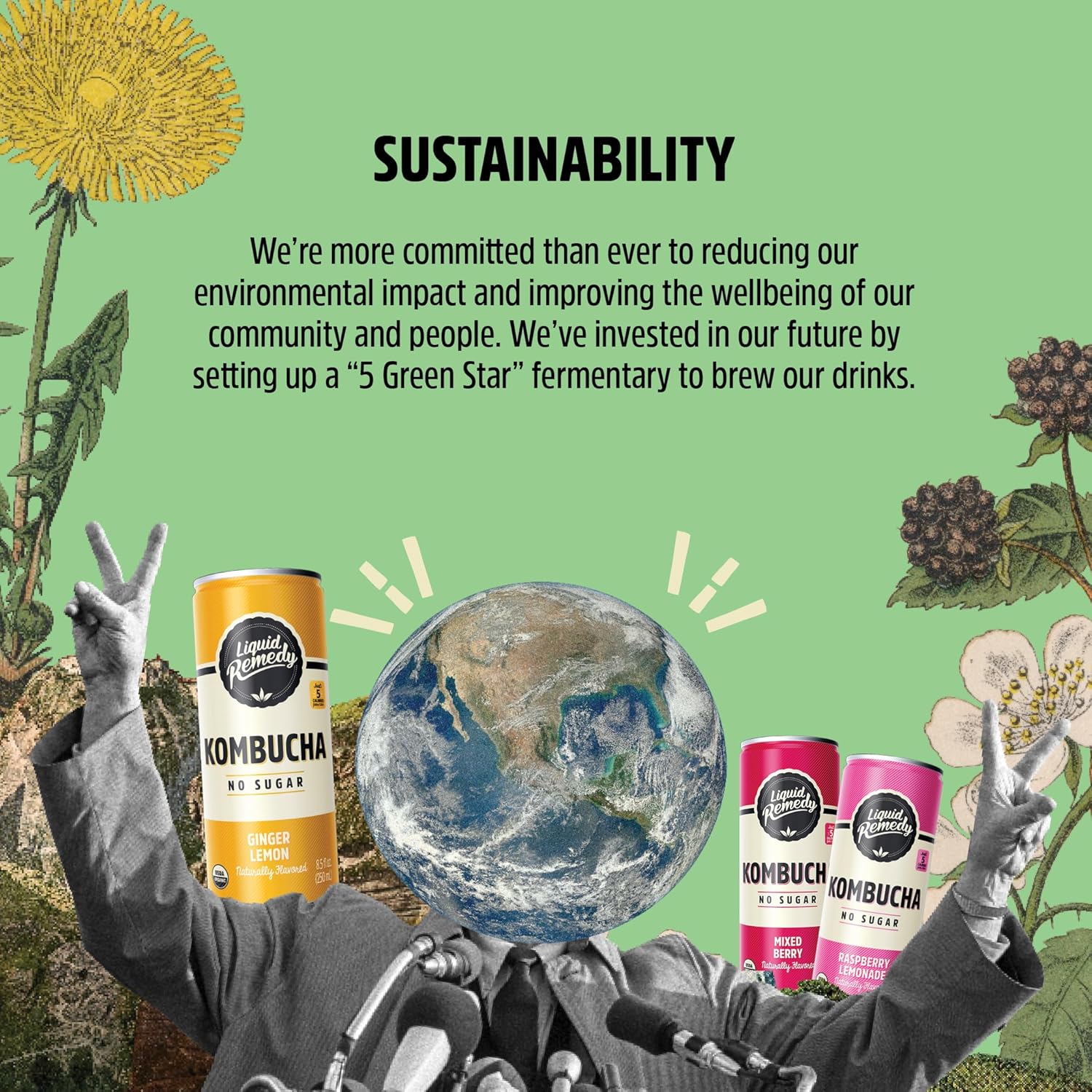 Liquid Remedy Kombucha Sugar Free Organic Drink, Low Calorie, Probiotic Like Tea for Gut Health - Super Sampler Variety Pack - 8.5 Fl Oz Can, 24-Pack