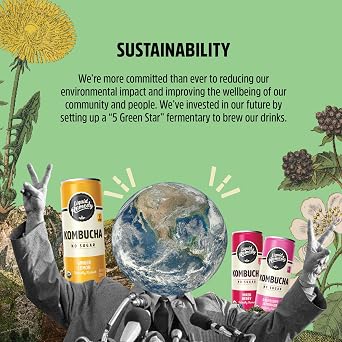 Liquid Remedy Kombucha Sugar Free Organic Drink, Low Calorie, Probiotic Like Tea for Gut Health - Super Sampler Variety Pack - 8.5 Fl Oz Can, 24-Pack