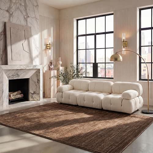 SAFAVIEH Area Rug 8x10 - Vision Collection - Large -
