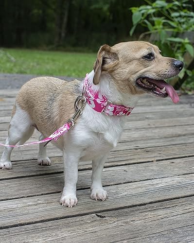 Miniatura 2 de Country Brook Petz - Collar para perro martingala hawaiana rosa, colección hawaiana con 6 diseños tropicales (1 pulgada, mediano)