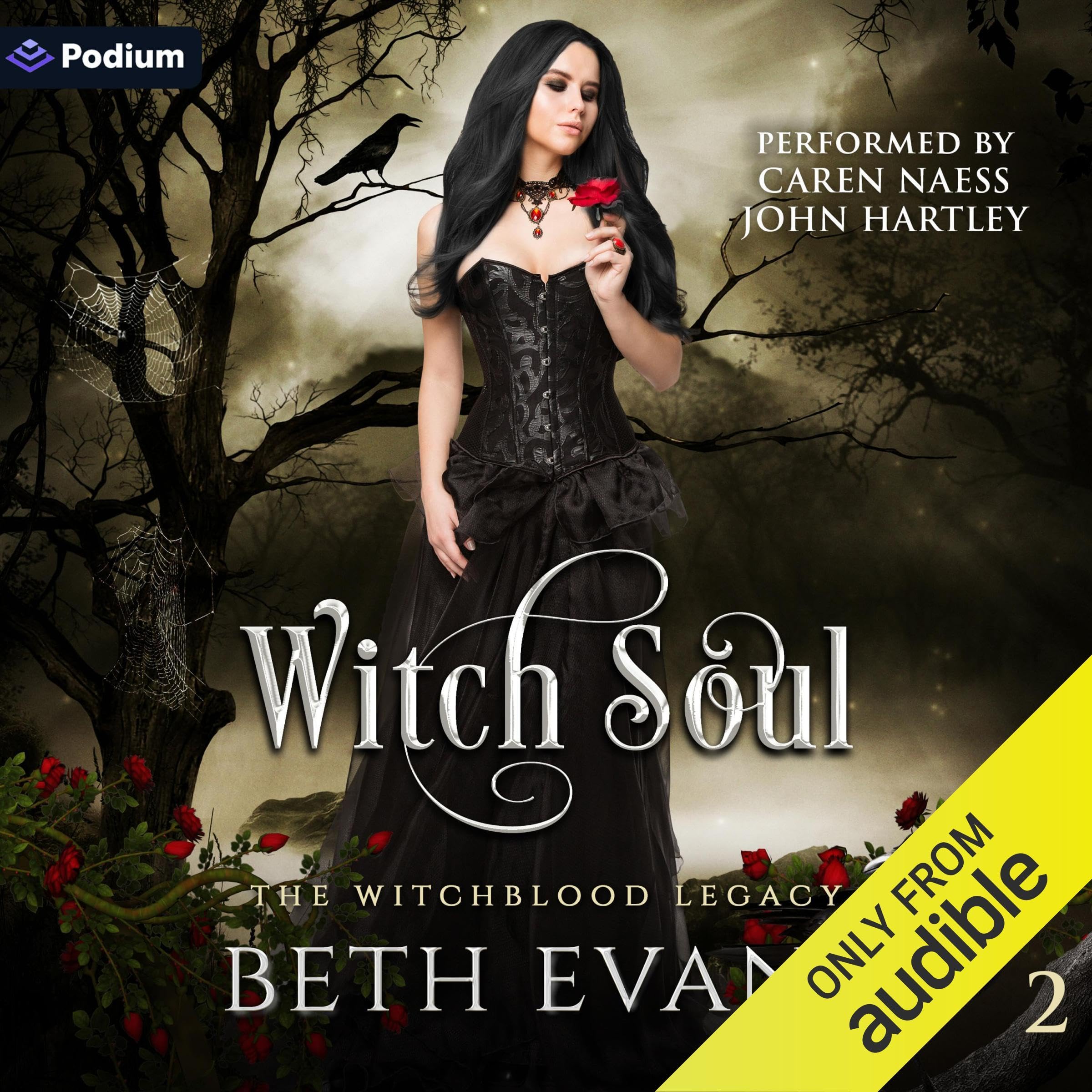 Cover art for Witch Soul