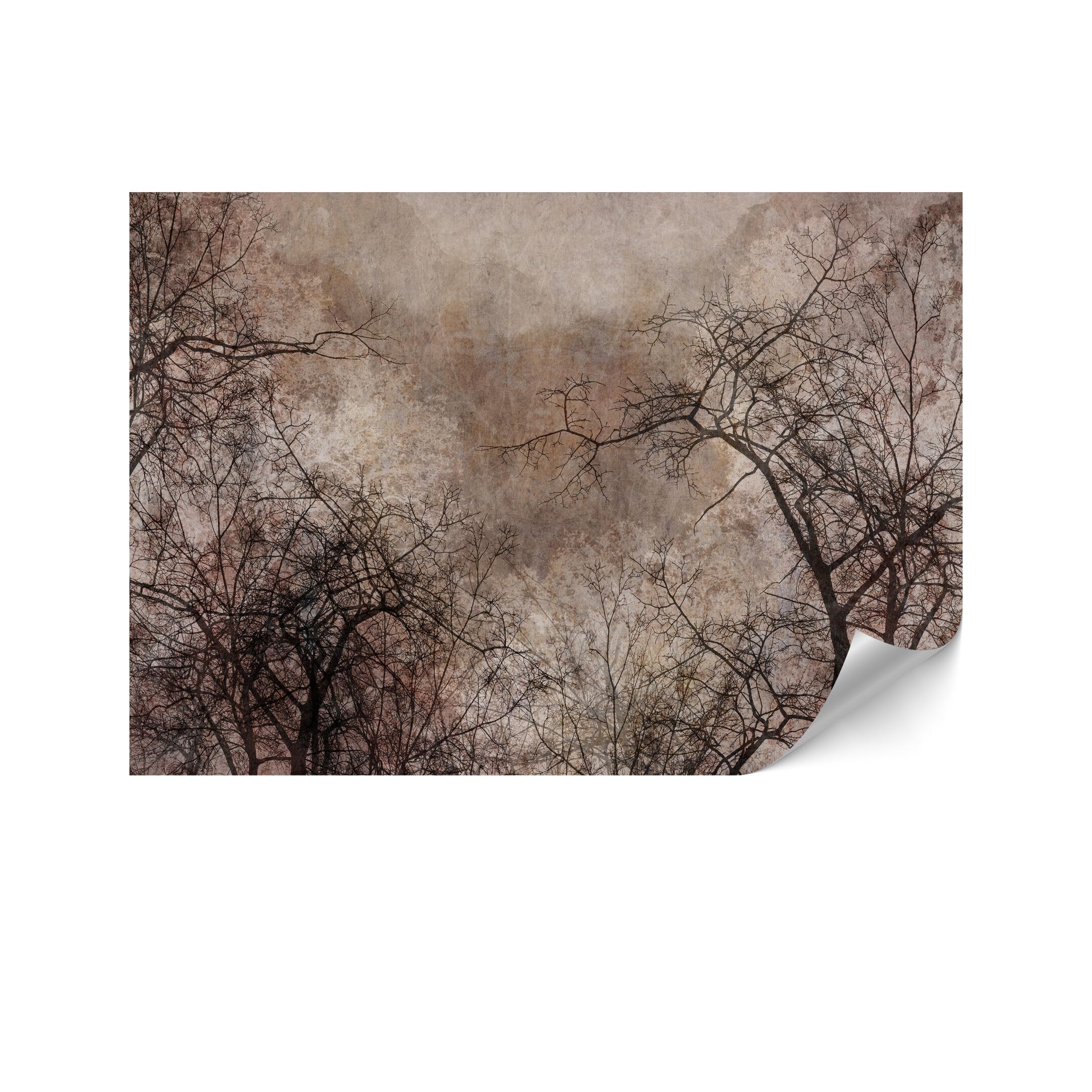 Tapeta 250 x 175 cm - tapeta do sypialni leśnej 10 - Nowoczesne tapety ścienne - Wysokiej jakości panele ścienne łatwe w montażu - Premium