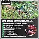 Ver la foto 5