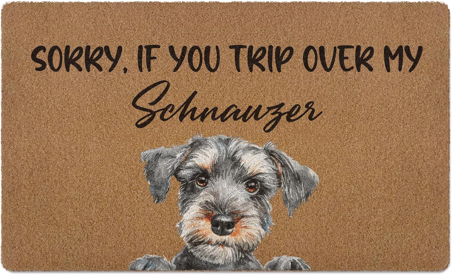 Funny Dachshund Dog Door Mat, Dachshund Gifts, It's Been A Long Day Welcome Front Door Mat Indoor Outdoor Entrance, Cute Artificial Coir Doormat Rugs for Dog Lovers Porch Entry 30x17in