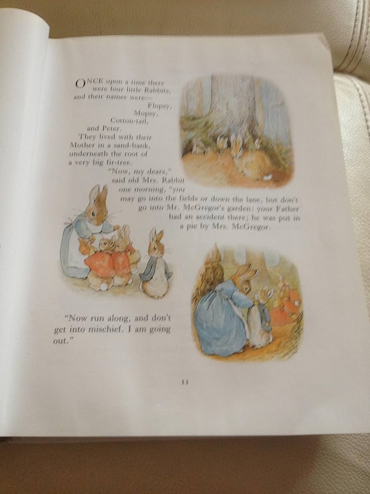 ピーターラビッBeatrix Potter The Complete Tales 811HWQXTKEL._UF1000,1000_QL80_.jpg