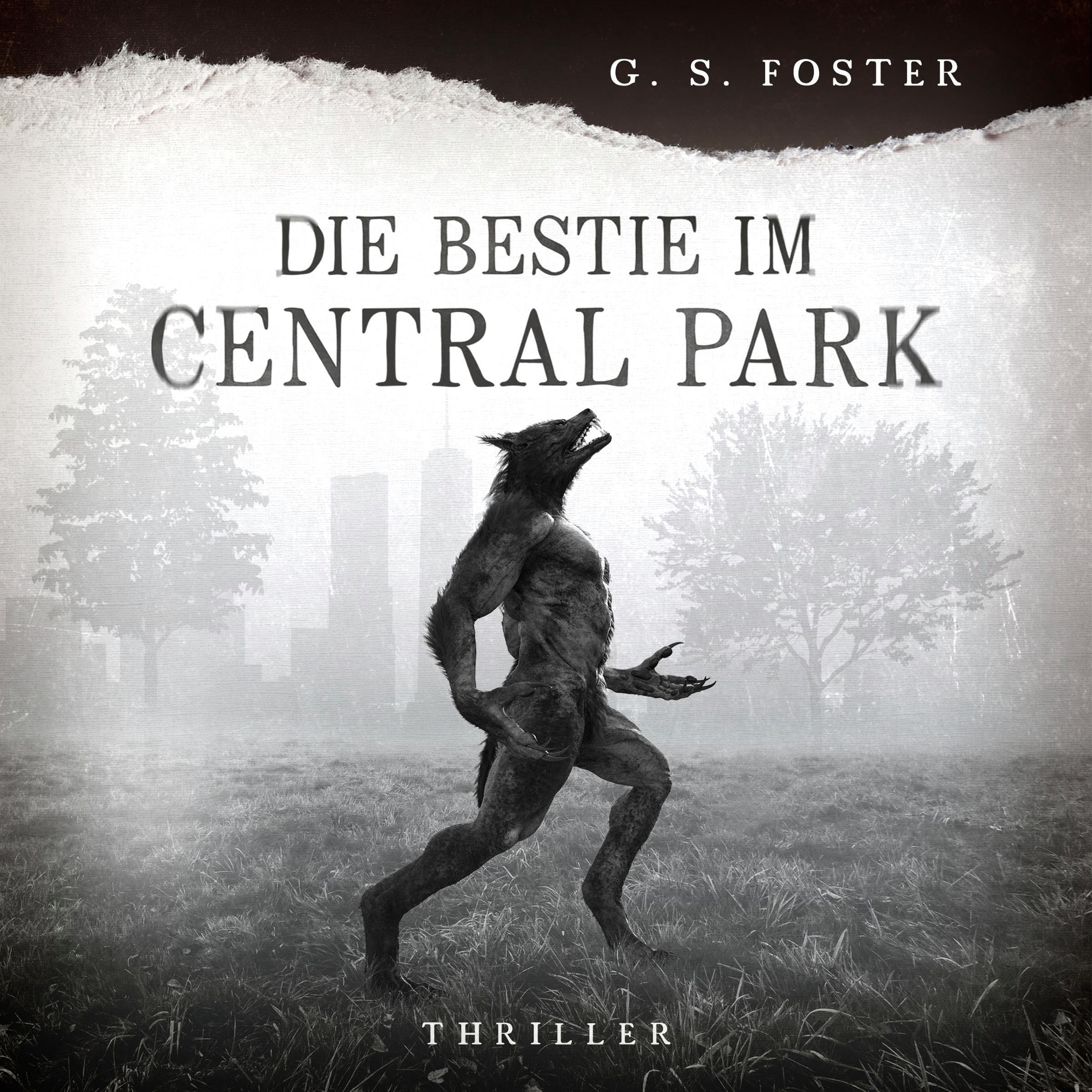 Cover art for Die Bestie im Central Park