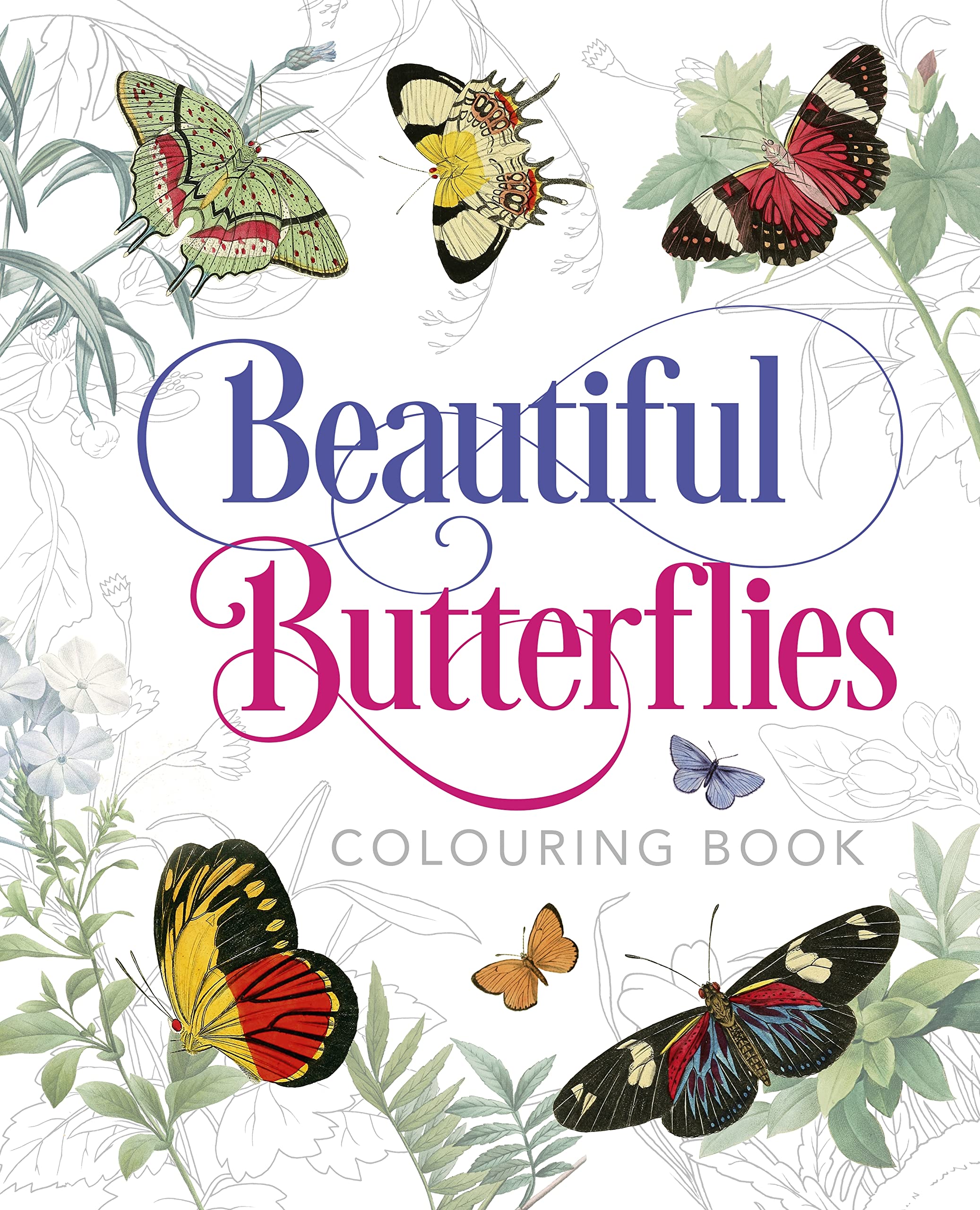 Butterflies Advanced Colouring Beautiful Book by Peter Gray (Paperback) New