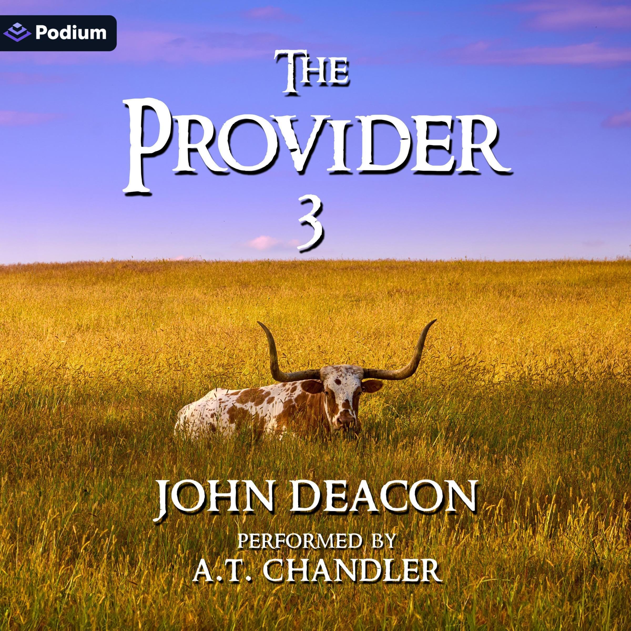 The Provider 3