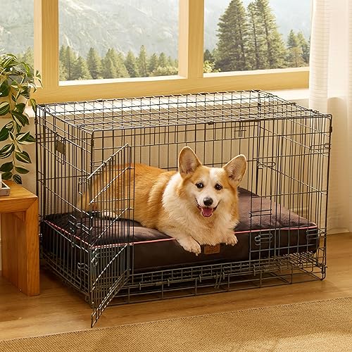 Miniatura 9 de Bedsure Camas impermeables para perros medianos, cama mediana de 4 pulgadas de grosor de hasta 50 libras con funda extraíble lavable, almohadas para